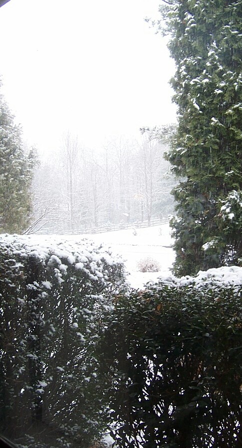 snow2.jpg
